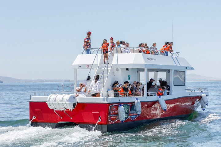 30min Harbour Boat Cruise Cape Town - Photo 1 of 11